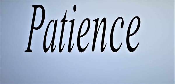 Quelles activités ludiques favorisent l'apprentissage de la patience chez un chiot ?